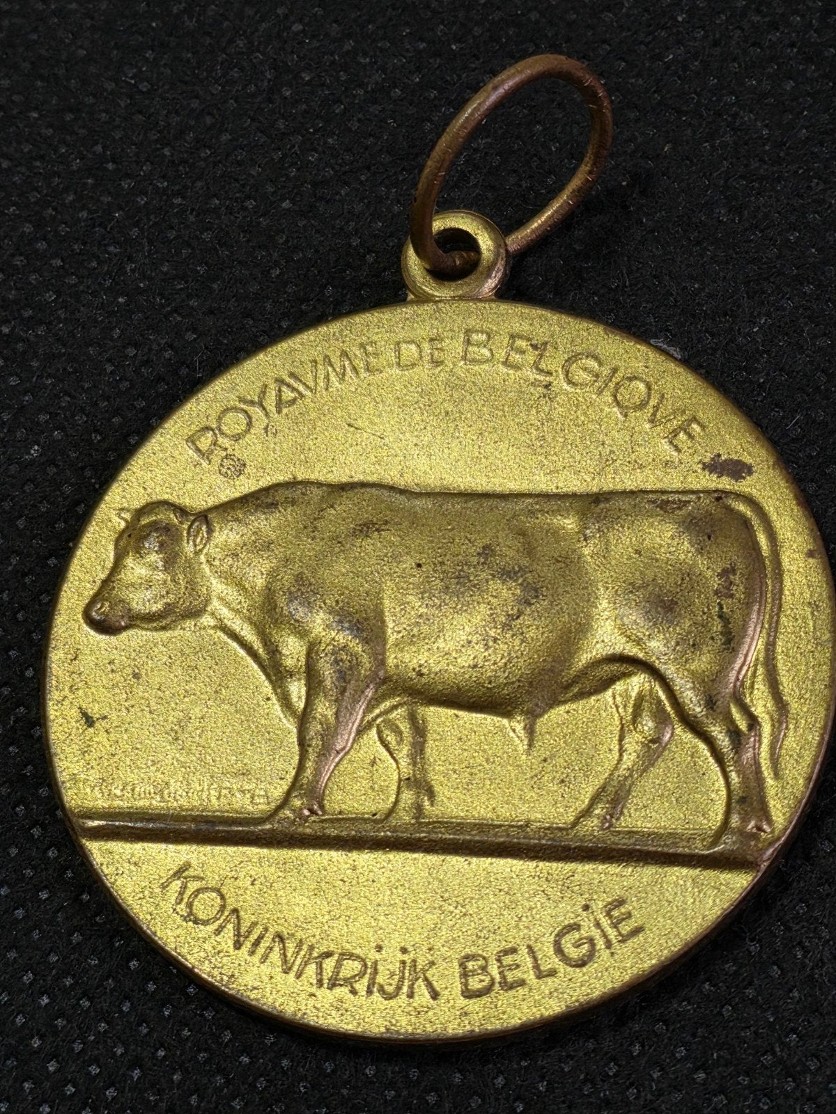 Belgisch medaille, Ophalen of Verzenden, Brons