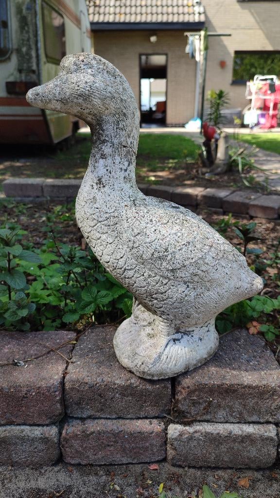 Tuinbeeld in Goes, Ophalen of Verzenden, Dierenbeeld