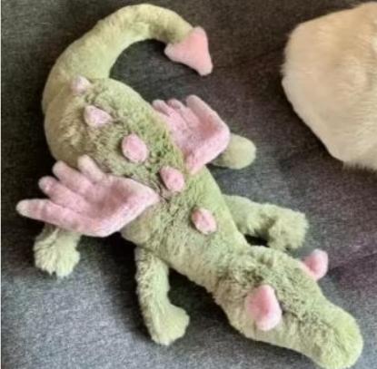 Grote knuffel Matcha draak (55cm), Ophalen of Verzenden, Nieuw
