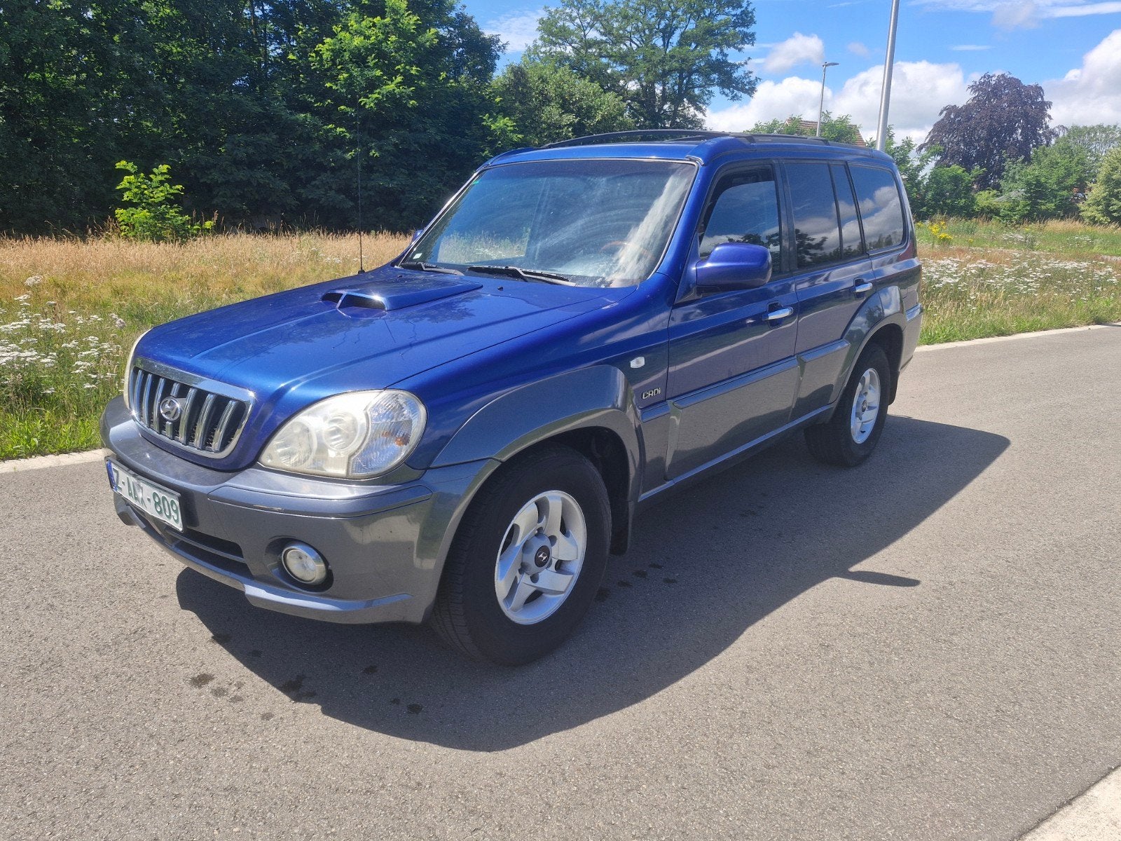 HYUNDAY TERRACAN 2.9 CRDI 4WD LICHTEVRA EXPORT KENT SPANJE, 2590 kg, 4 cilinders, Blauw, 2800 kg