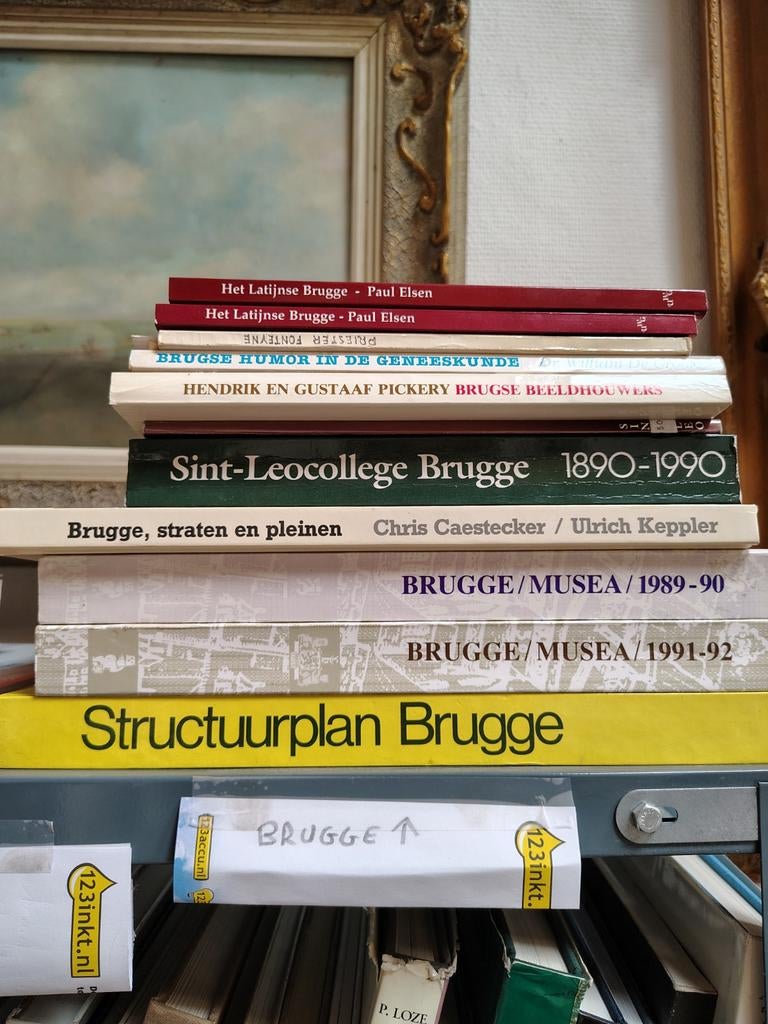 Boeken over Brugge, Ophalen of Verzenden