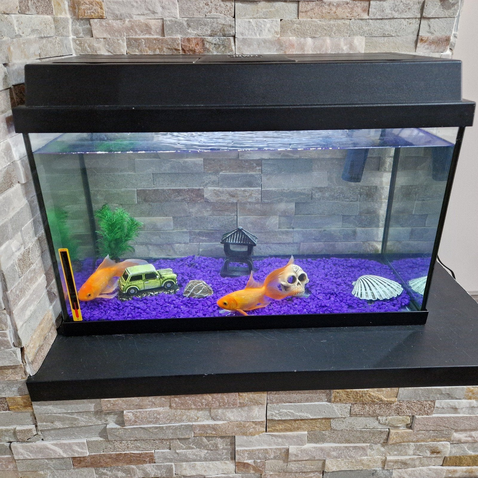 aquarium compleet met 2 goudvissen, Dieren en Toebehoren, Ophalen