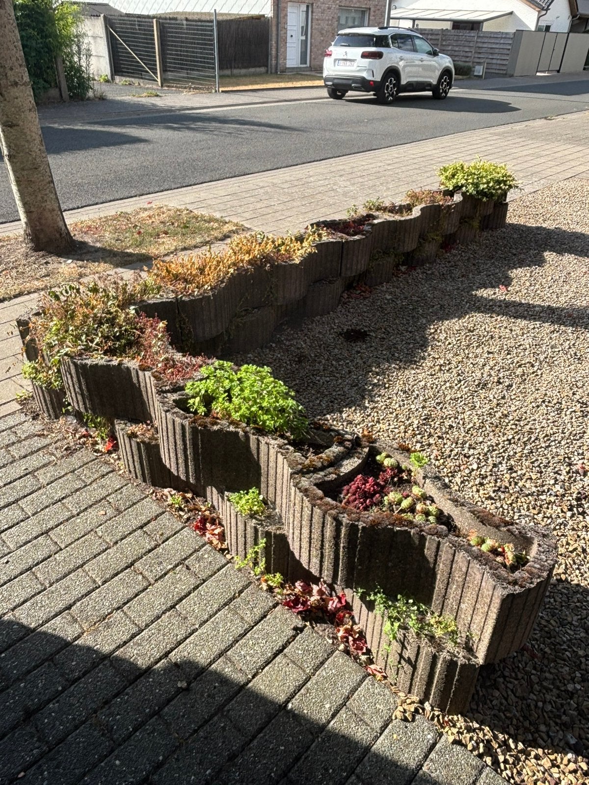 Gratis: 20 betonnen plantenbakken / stapelblokken, Tuin en Terras, Ophalen, Gebruikt, Overige materialen