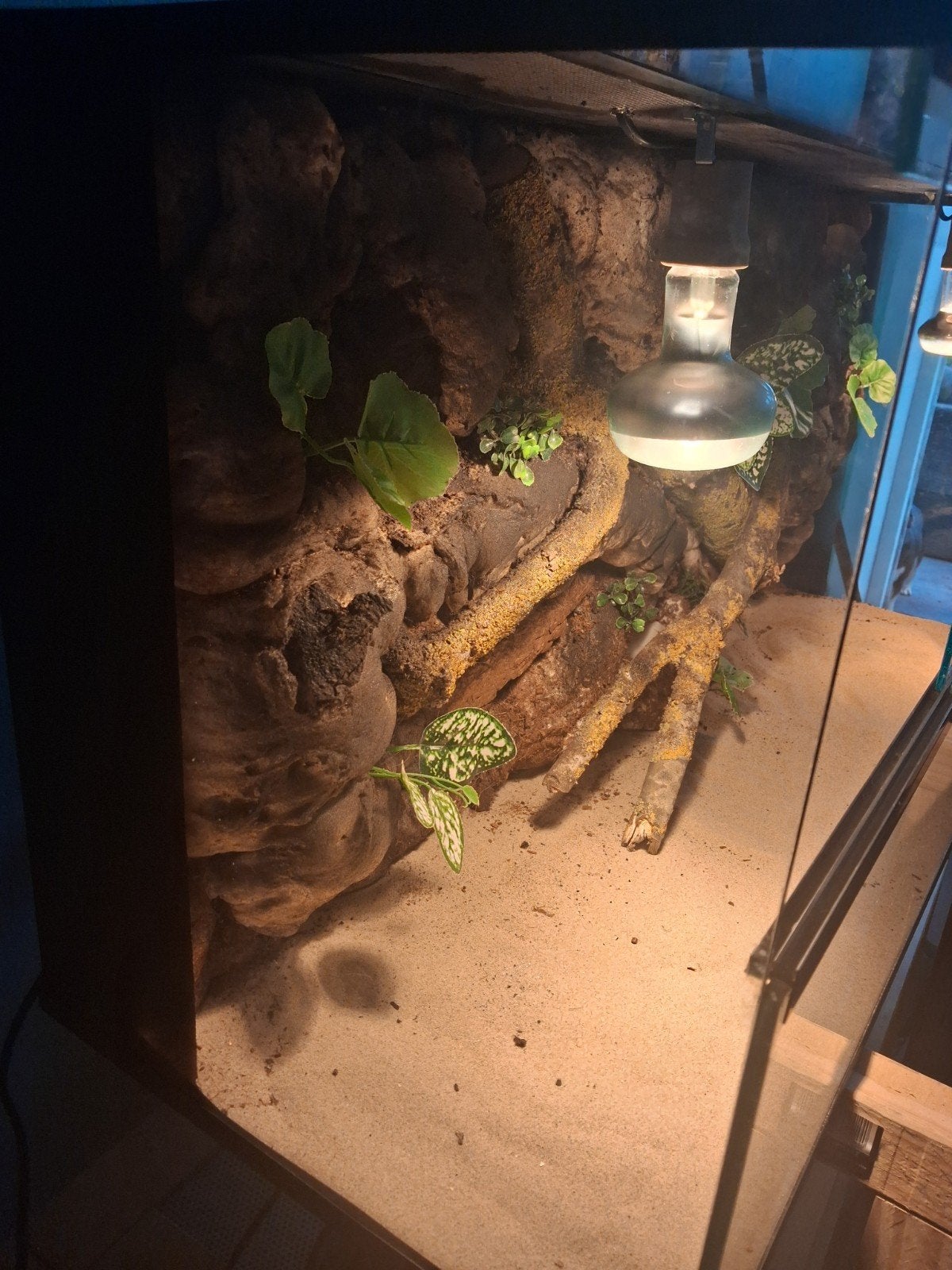 terrarium, Dieren en Toebehoren, Ophalen