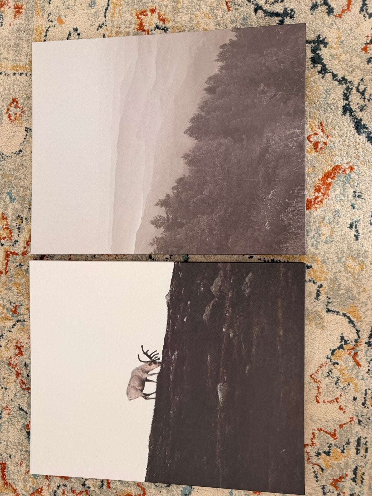 Set van 2 fotoprints – nieuw, alleen geopend voor foto’s, Enlèvement ou Envoi, Neuf