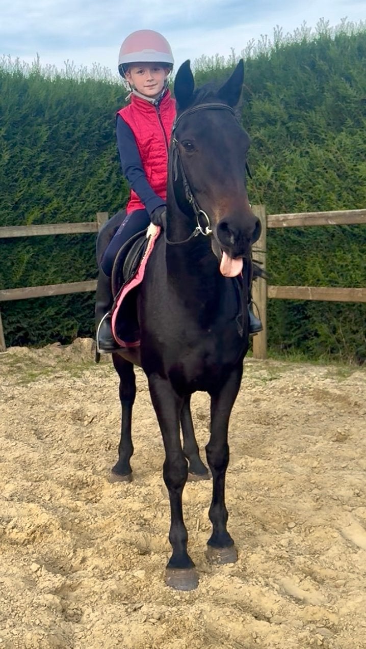 Kidproof brave pony, Dieren en Toebehoren, Merrie, B, Gechipt, 11 jaar of ouder