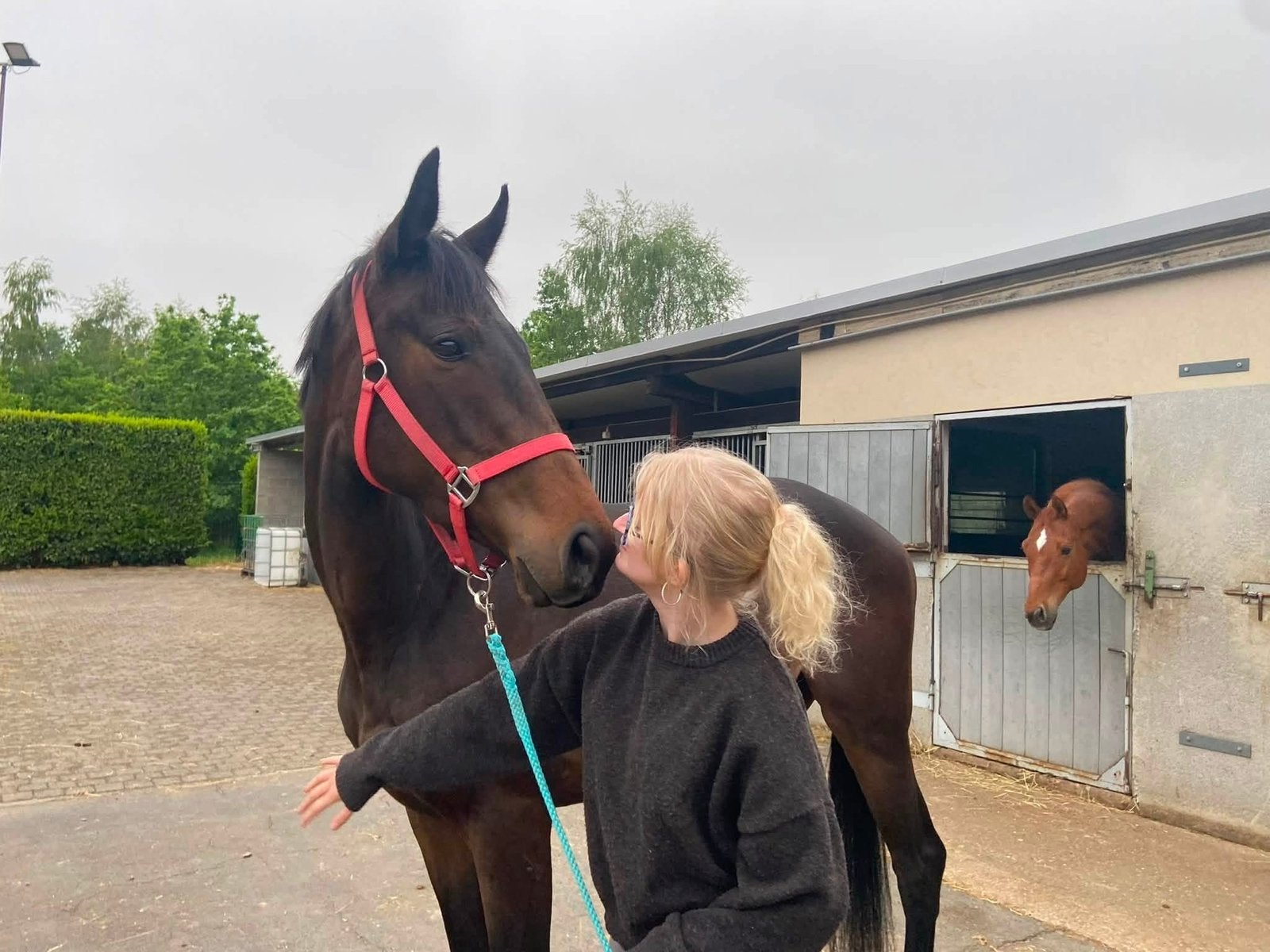 Lieve 3 jarige merrie, Animaux & Accessoires, Jument