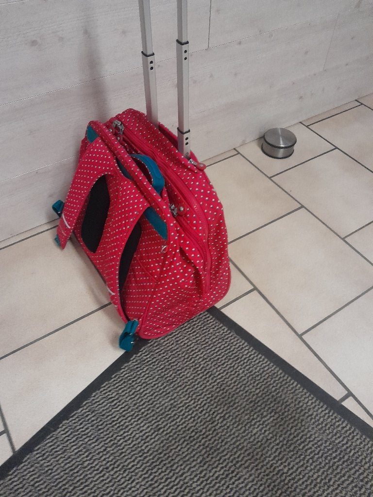 Schooltas, Ophalen, Zo goed als nieuw, Rugtas