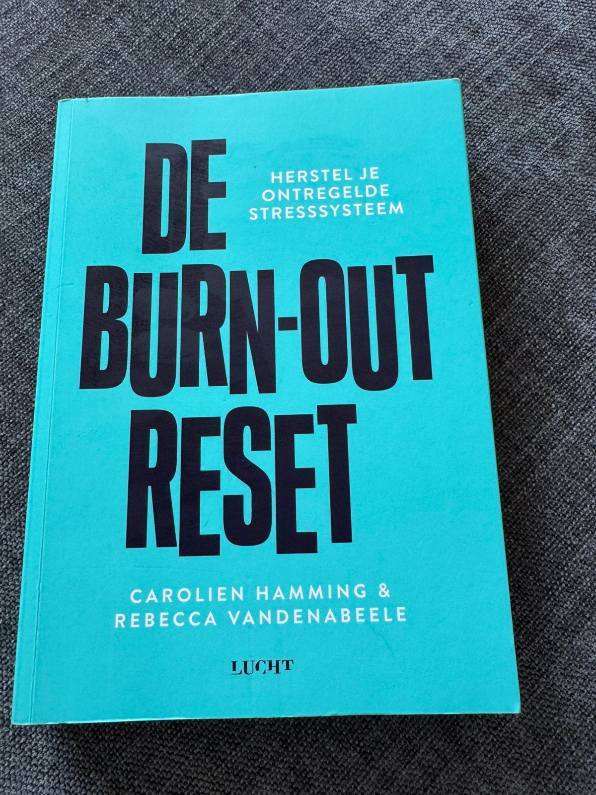 De burn-out reset van Carolien Hamming & Rebecca Vandenabeel, Livres, Enlèvement, Comme neuf