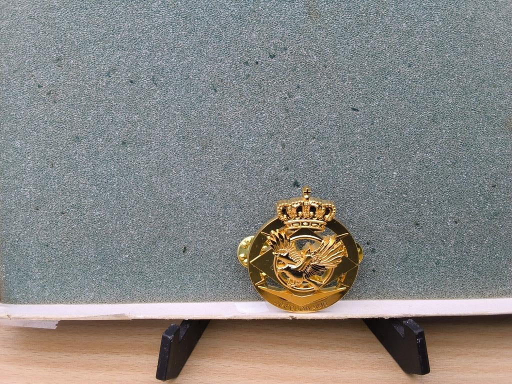 Muts kenteken Droons eenheden, Ophalen of Verzenden