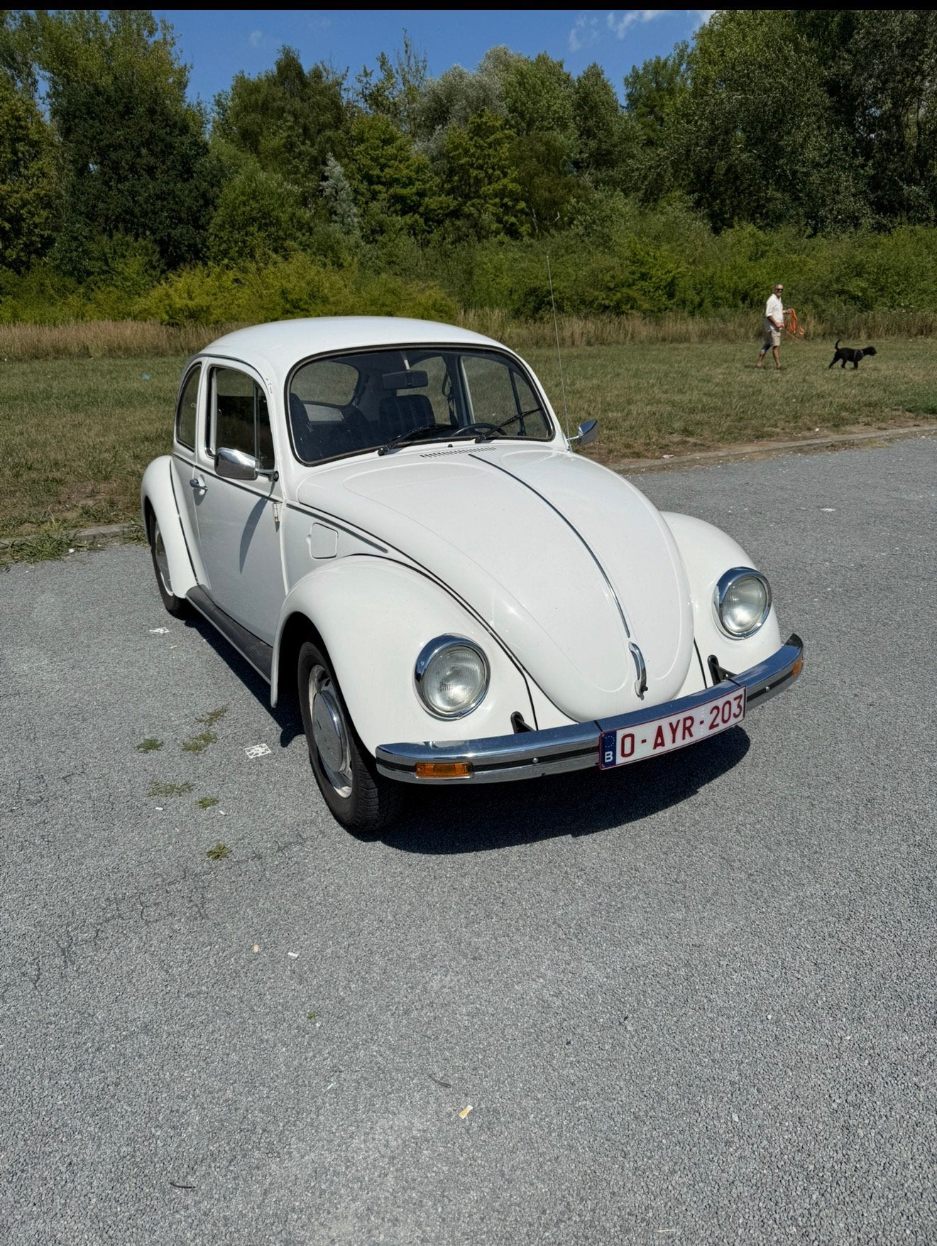 Volkswagen kever 1983, Auto's, Volkswagen, Particulier, Te koop, Benzine