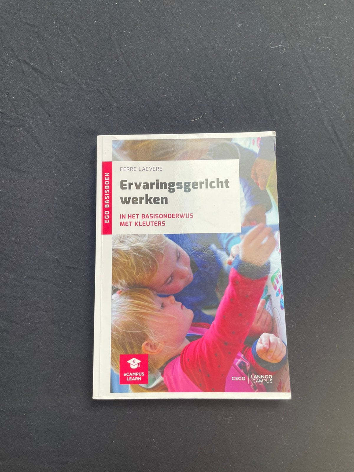 Ervaringsgericht werken in het basisonderwijs met kleuters, Enlèvement, Ferre Laevers