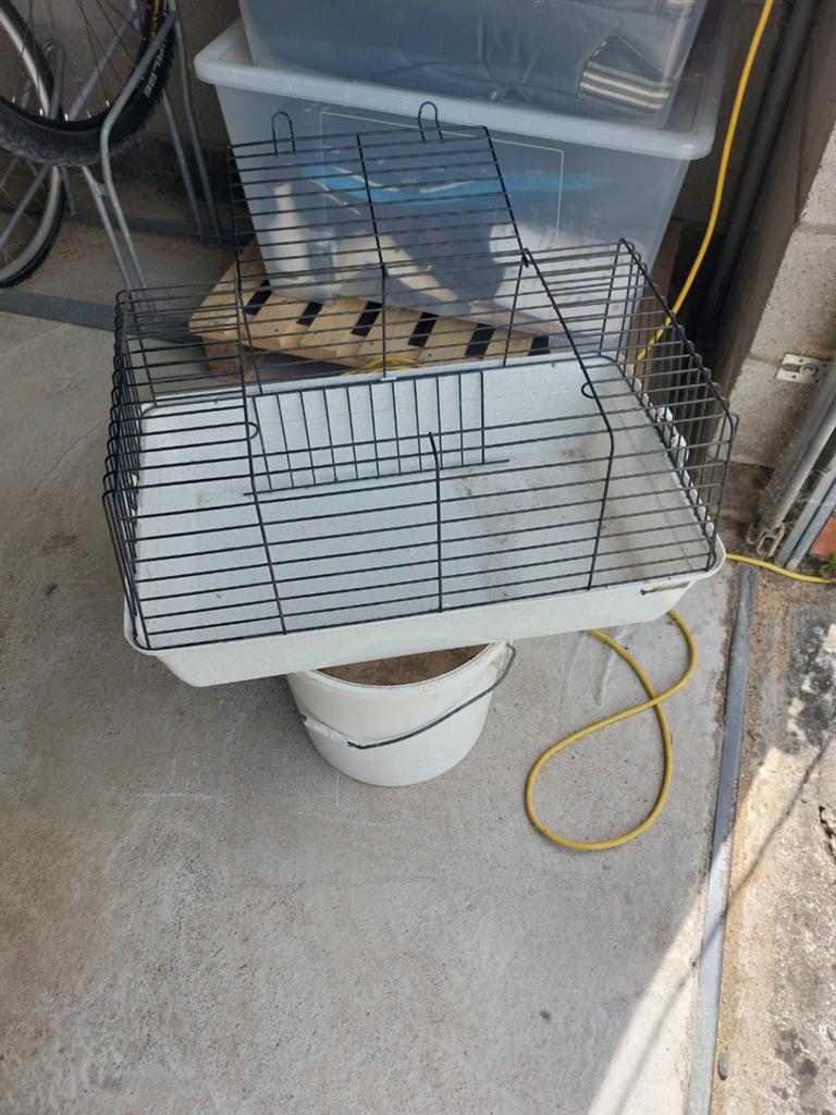 Kleine kooi voor knaagdieren en kuikens., Dieren en Toebehoren, Ophalen, Kooi