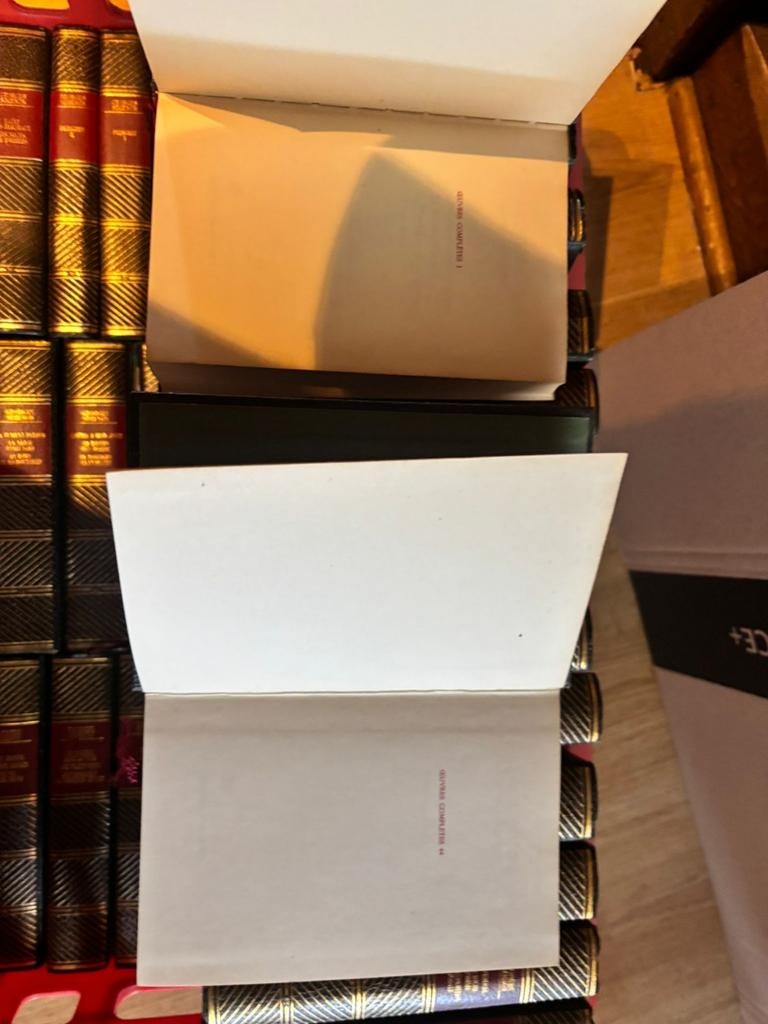 Volledige reeks (44 boeken) Georges Simenon, Boeken, Ophalen