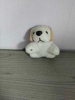 knuffel, Ophalen, Hond
