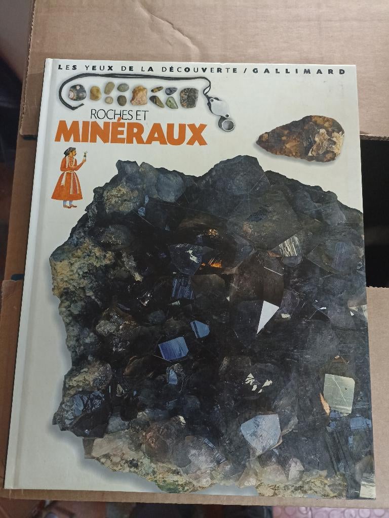 Roches et minéraux, Livres, Neuf, Enlèvement ou Envoi, Tome à part, Autres sujets/thèmes