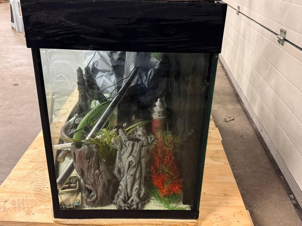 Aquarium avec tous les accessoires nécessaires