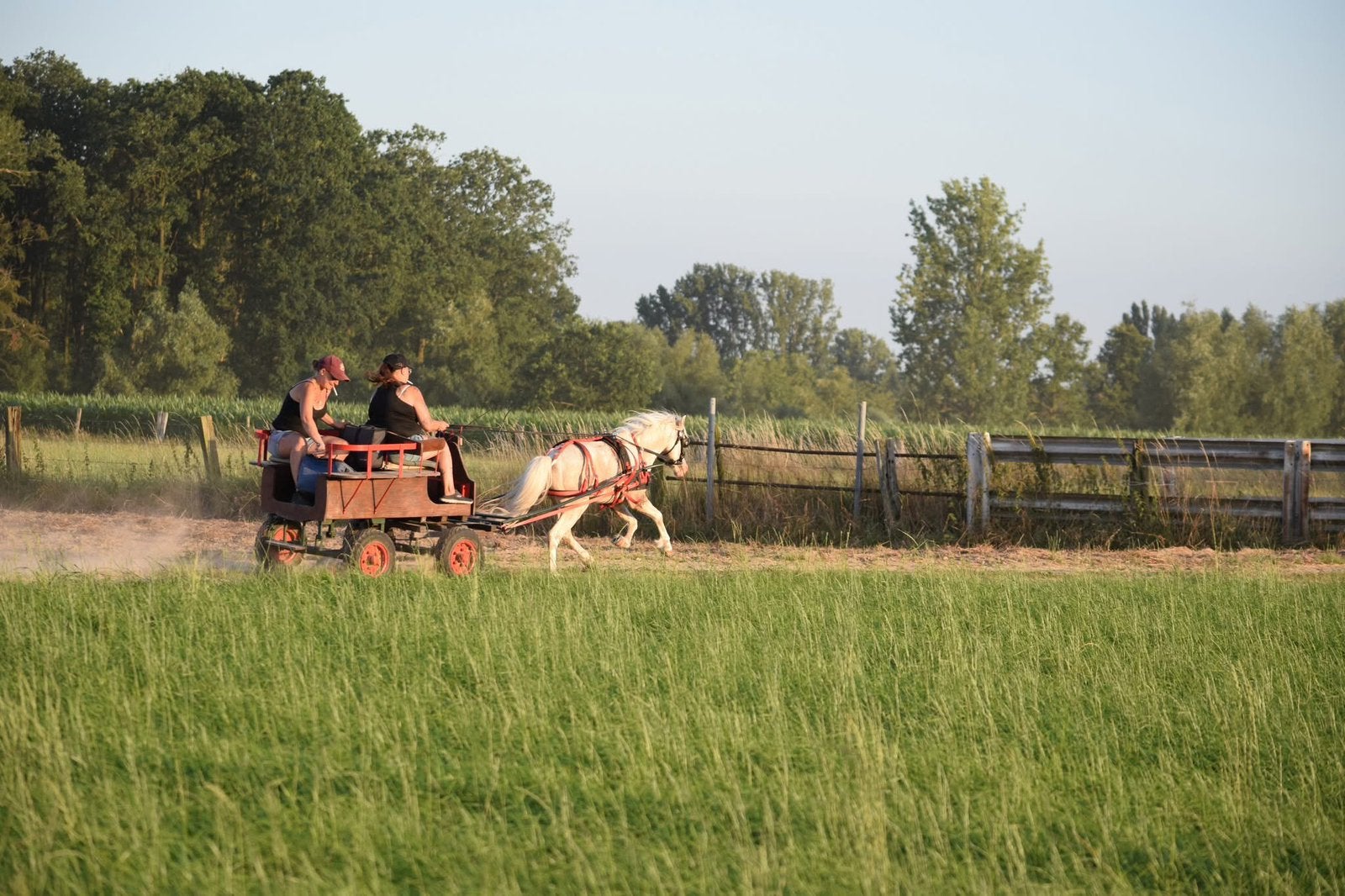 Kleine menwagen ideaal voor shets en a/b pony, Poney