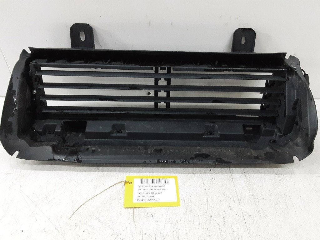 RADIATEUR GRILL Dacia Duster (SR) (214F62703R), Dacia, Renault Deutschland AG, Utilisé, Peter-Huppertz-Straße 5
51063  Köln, DE