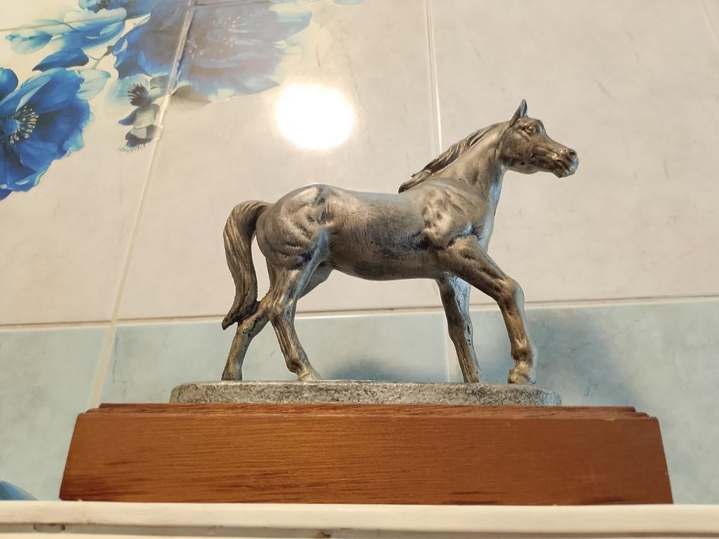 Cheval, Collections, Enlèvement ou Envoi, Cheval