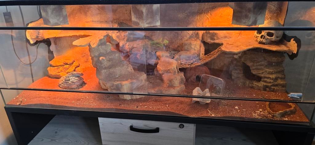 Terrarium, Ophalen