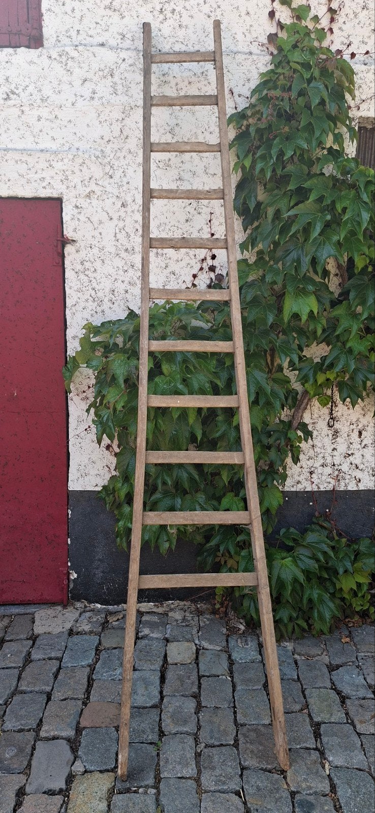 Échelle en bois, Bricolage & Construction, Échelles & Escaliers, Enlèvement, Échelle