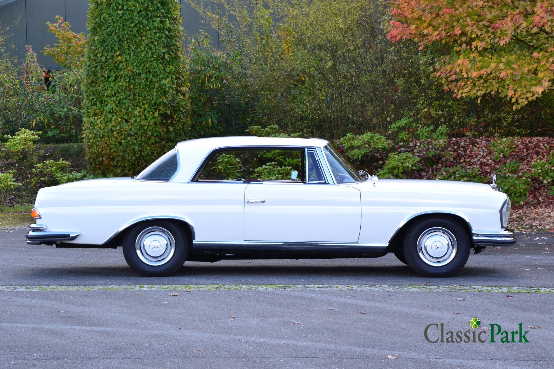 Mercedes-Benz 200-serie 250 SE Coupé (bj 1966, automaat), foto 6