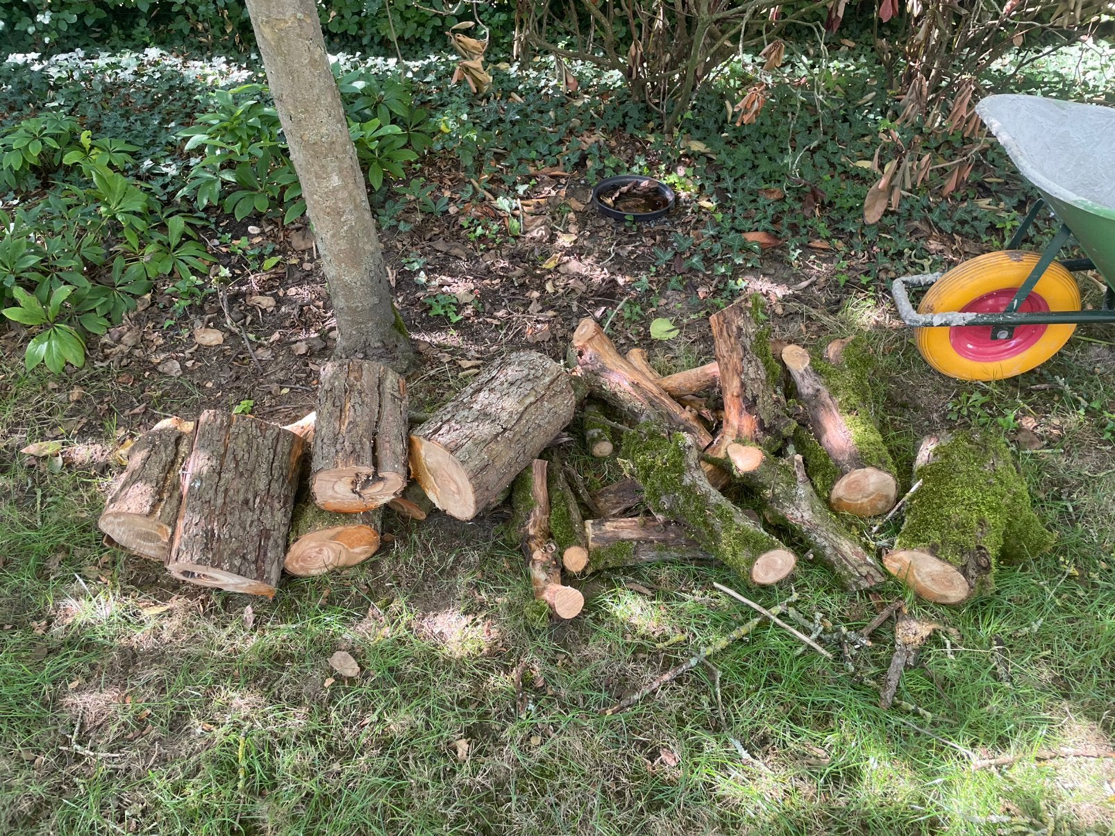 Gratis brandhout, Ophalen