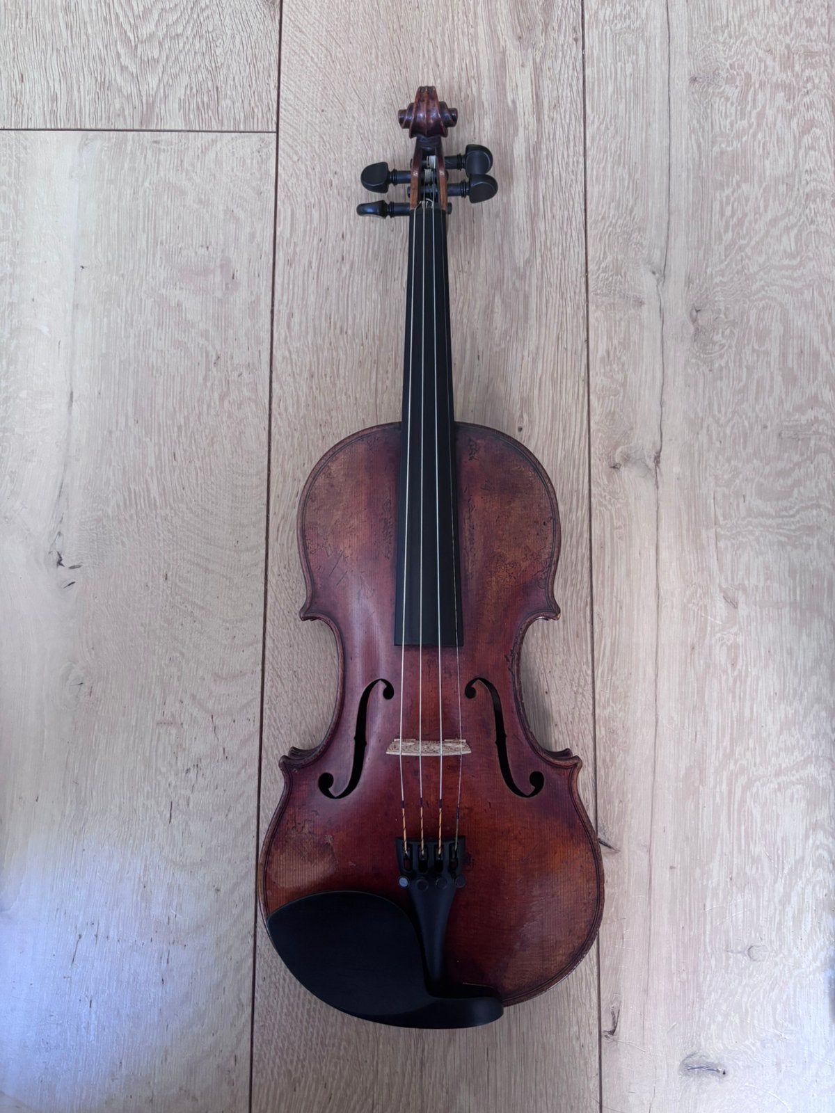 19e eeuwse professionele viool met waardeattest, Muziek en Instrumenten, Strijkinstrumenten | Violen en Altviolen, Ophalen, Gebruikt