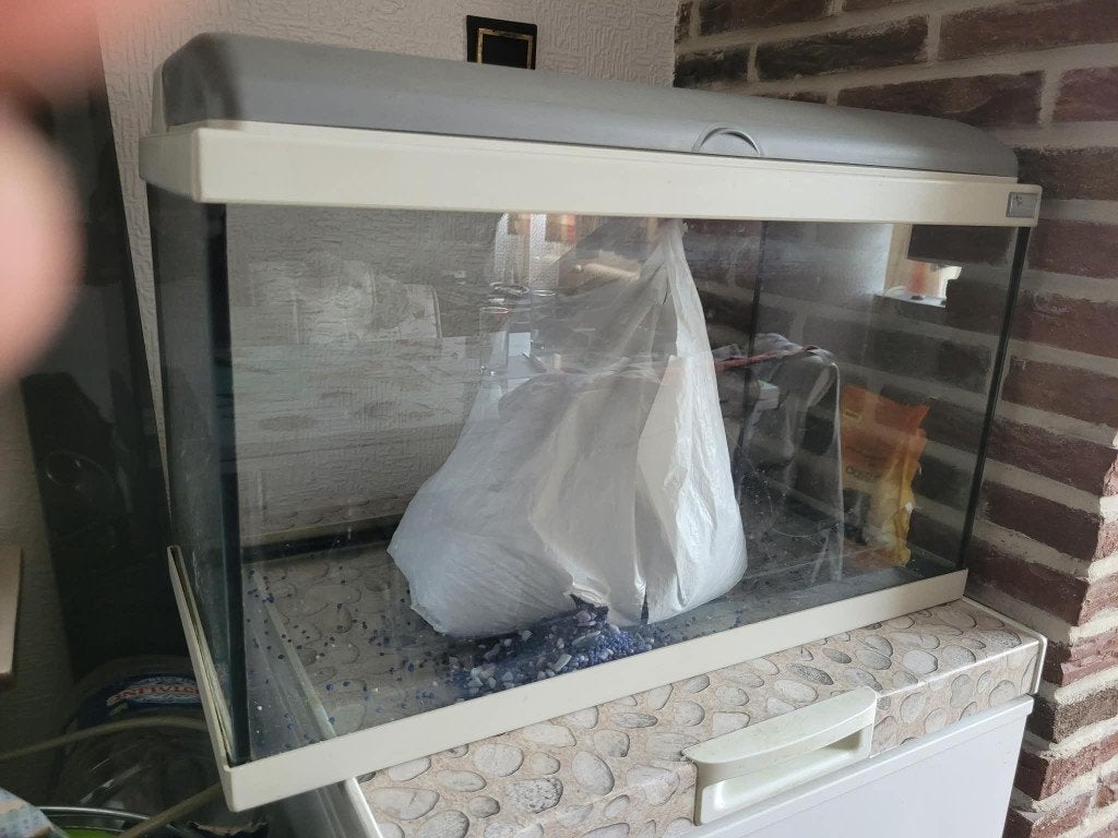 aquarium 63 l complet avec accessoires lire svp., Aquatlantis, Aquarium d'eau douce rempli, Enlèvement, Utilisé