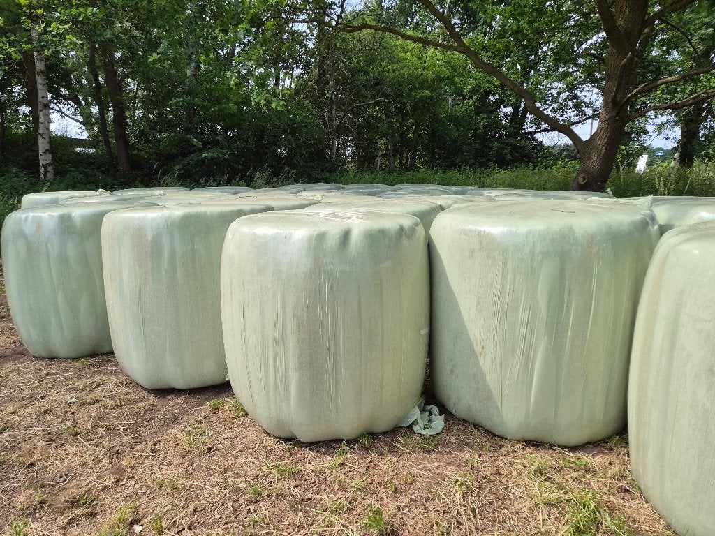 Hooi bollen, Dieren en Toebehoren