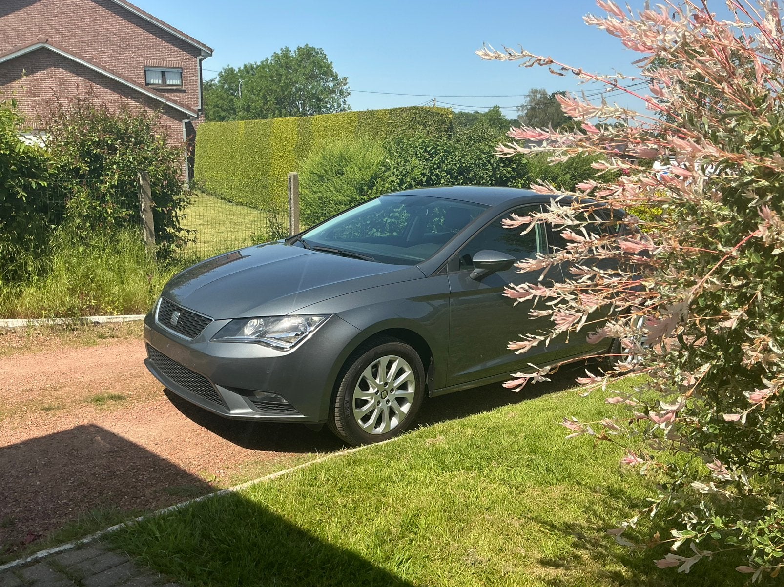 SEAT LEON, Autos, Seat, Argent ou Gris, Achat, Entreprise, Noir