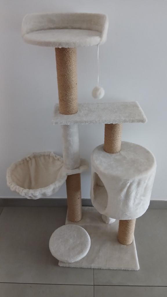 Arbre à chat blanc, Enlèvement