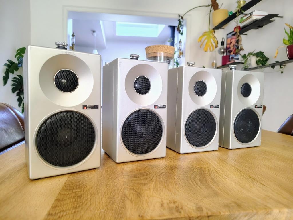 Technics SB-F1 speakers, Audio, Tv en Foto, Gebruikt, Center speaker, Minder dan 60 watt, Ophalen