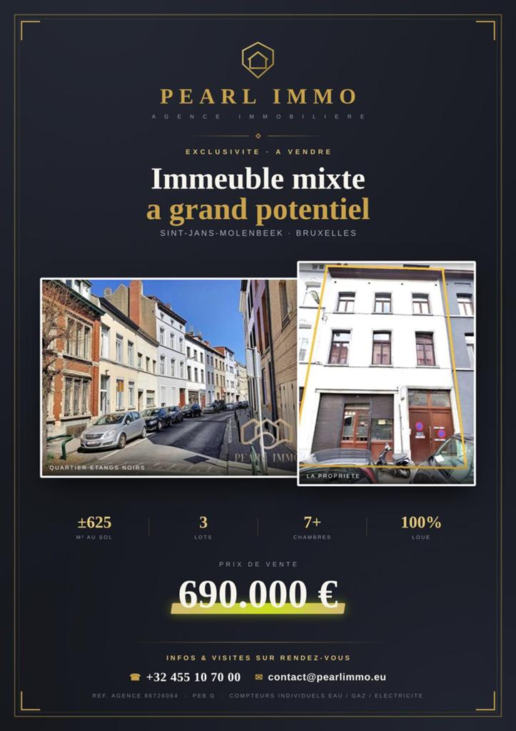 Immeuble mixte à grand potentiel, environ 625 m², Boeken, Economie, Management en Marketing, Ophalen, Zo goed als nieuw
