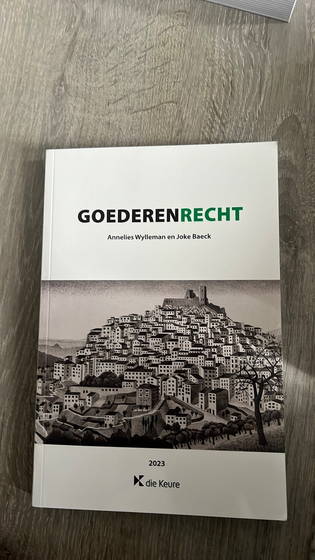 Handboek Goederenrecht, Livres, Livres d'étude & Cours, Enlèvement, Comme neuf, Enseignement supérieur professionnel