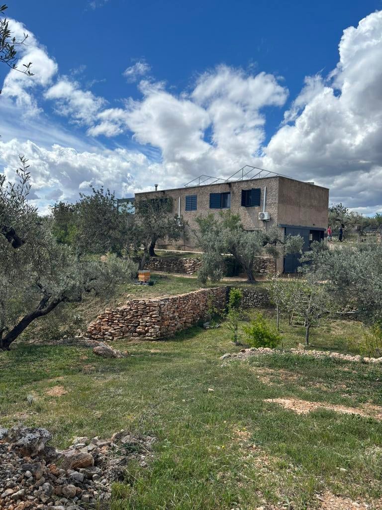 Villa sur oliveraie à louer, Propriétaire, Maison de campagne ou Villa, 8 personnes, Campagne