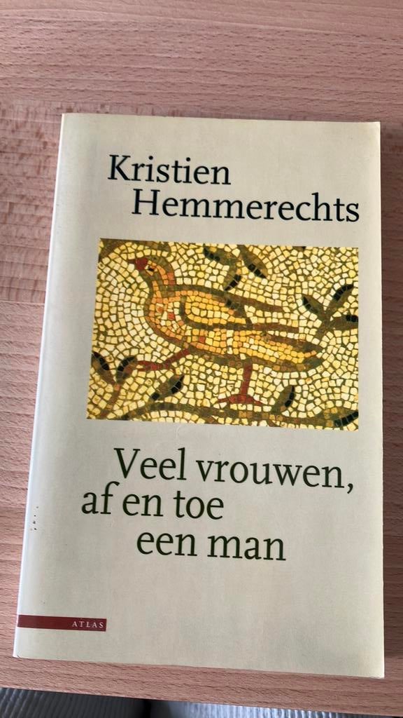 Kristien Hemmerechts - Veel vrouwen, af en toe een man, Ophalen of Verzenden, Kristien Hemmerechts