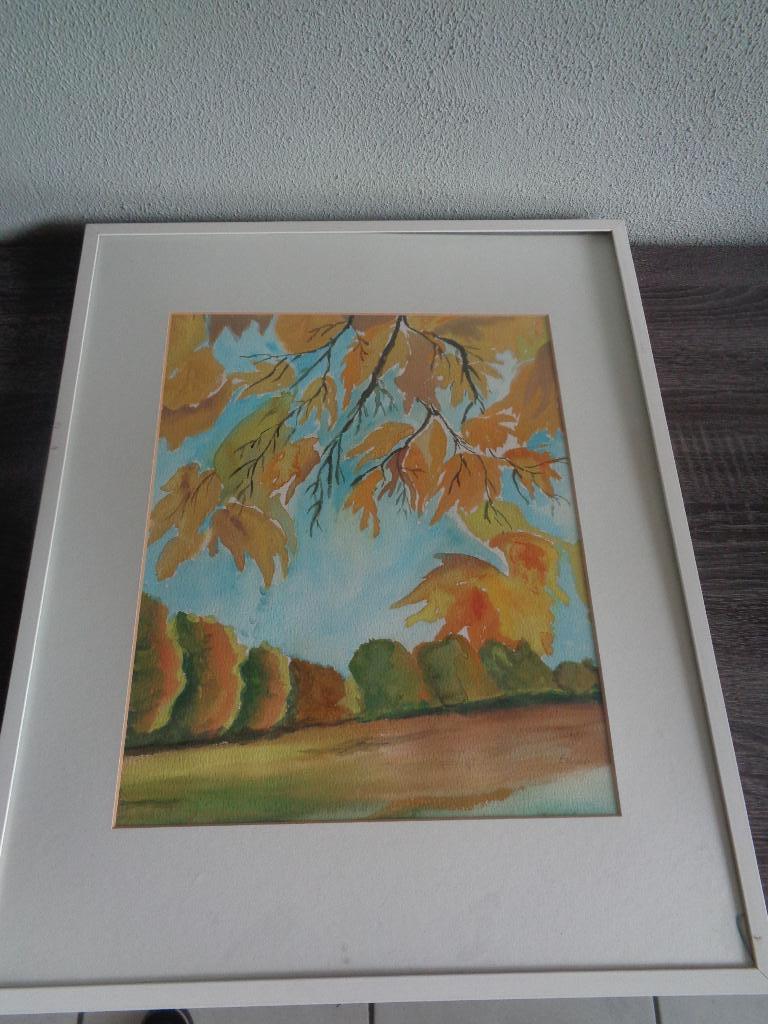 Serie kaders met of zonder aquarel of beeld, Ophalen of Verzenden, Gebruikt