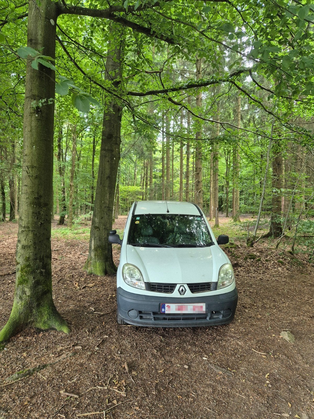Renault Kangoo 1.5 dCi 2008 micro camper, Auto's, Voorwielaandrijving, 4 deurs, Elektrische ramen, Renault