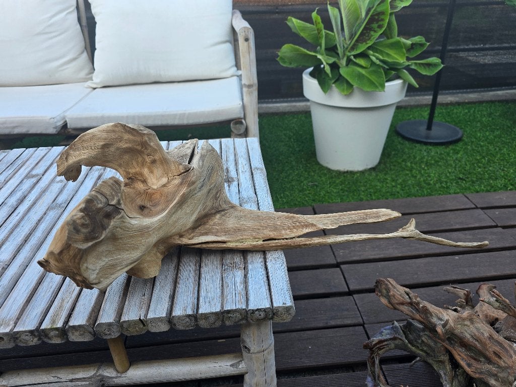 Houd, Dieren en Toebehoren