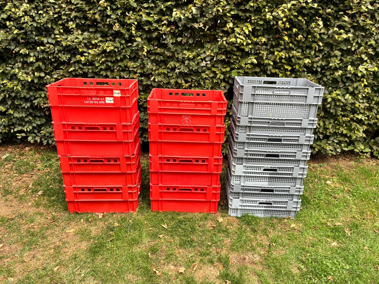 Bac alimentaire, Enlèvement, Comme neuf
