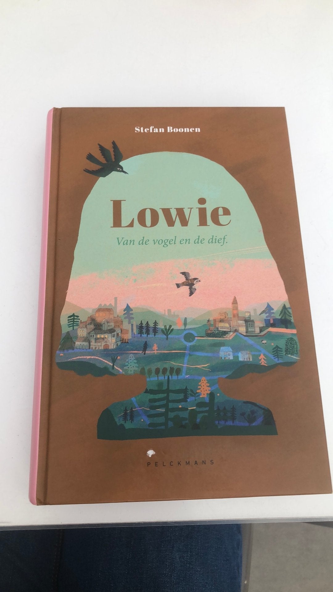 Stefan Boonen - Lowie, Livres, Enlèvement ou Envoi, Stefan Boonen