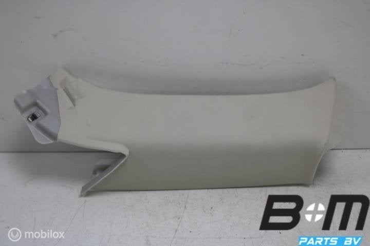 C-Stijl bekleding rechts Passat B8 Variant 3G9867242, Utilisé