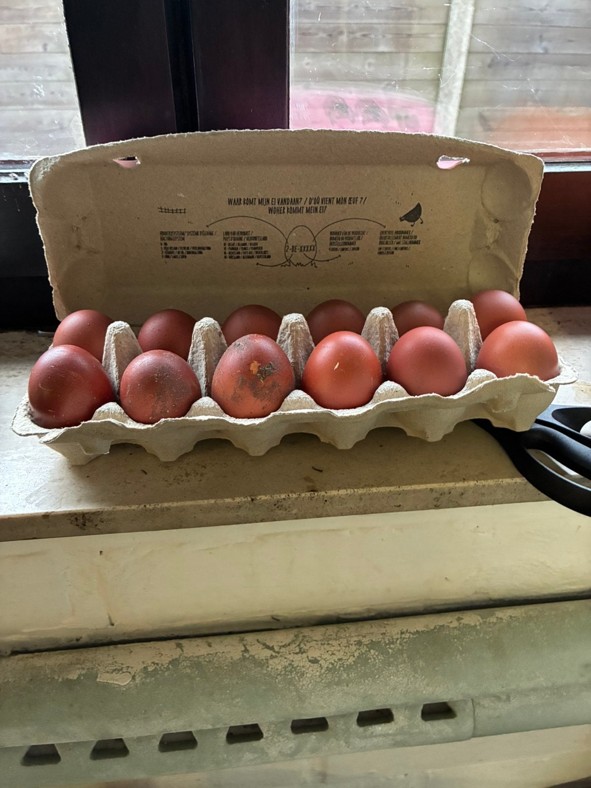 Broedeieren marans te koop. Voor 12 eieren20€, Dieren en Toebehoren, Pluimvee