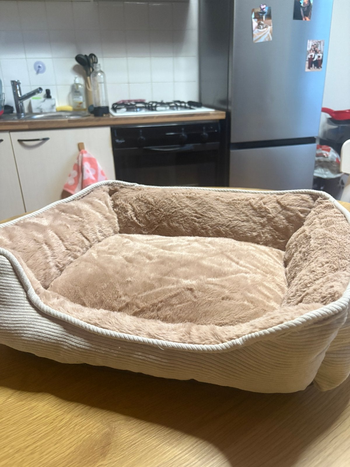 Panier pour animaux chat/chien, Enlèvement ou Envoi, Neuf