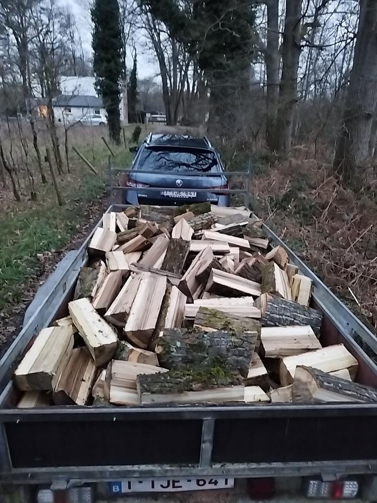 Volle aanhangwagen populier, Tuin en Terras, Brandhout, Ophalen