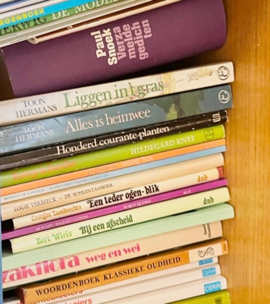 Diverse boeken / gedichtenbundels, Ophalen of Verzenden