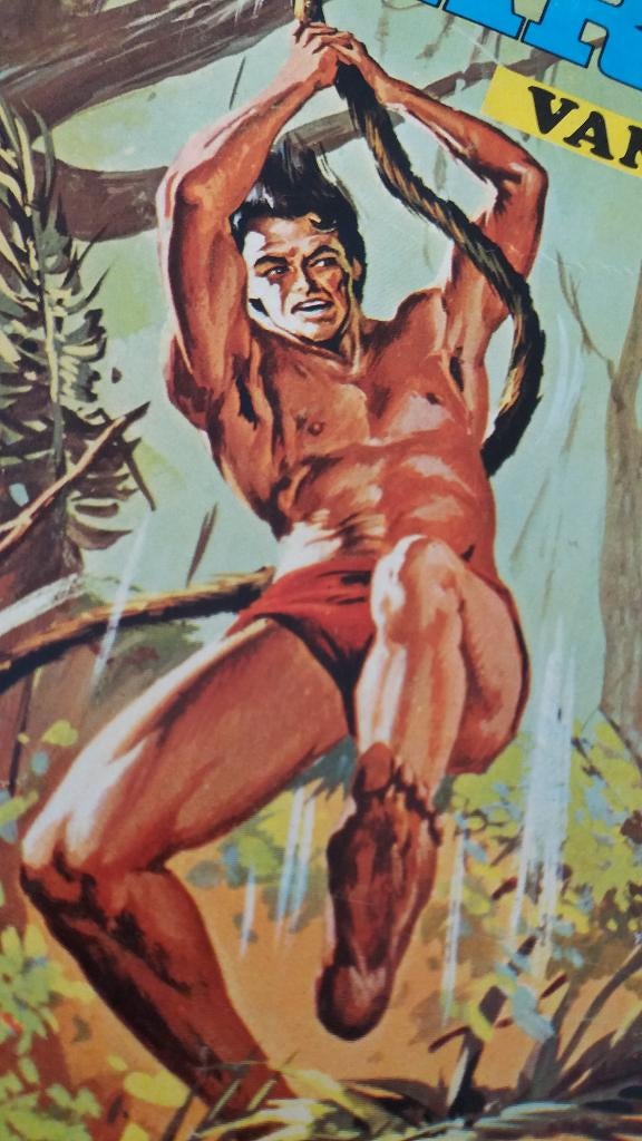 Tarzan van de apen / nummers 1.285 + 1.286 uit 1971, Livres, BD | Comics, Plusieurs comics, Enlèvement ou Envoi, Utilisé, Autres régions