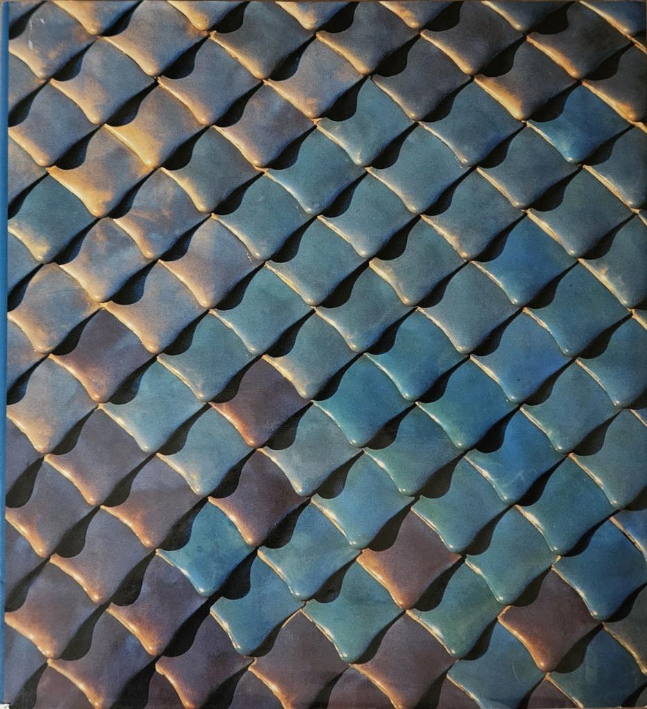 Casa Batlló, Barcelona, Gaudí - Juan José Lahuerta - 2001, Juan José Lahuerta, Architecten, Ophalen of Verzenden, Zo goed als nieuw